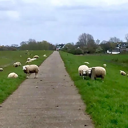 Bed & Breakfast Gamerenwaard Gameren