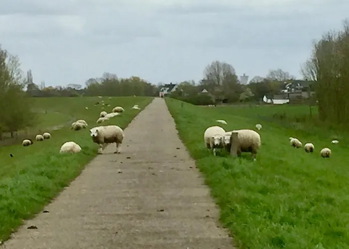 Oda ve Kahvaltı Gamerenwaard 4*