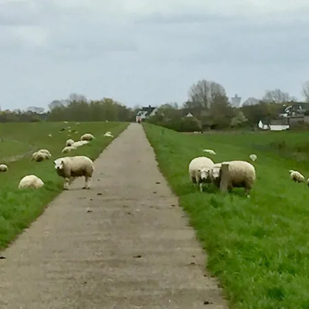 فندق مبيت وإفطار Gamerenwaard 4*